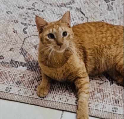 Screenshot 2025-09-26 193513