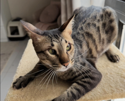 Screenshot 2025-10-26 200505