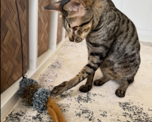 Screenshot 2025-10-26 200521