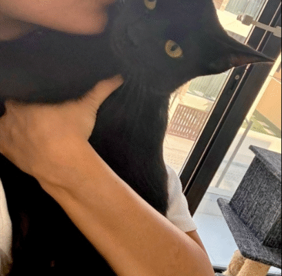 Screenshot 2025-10-26 201515