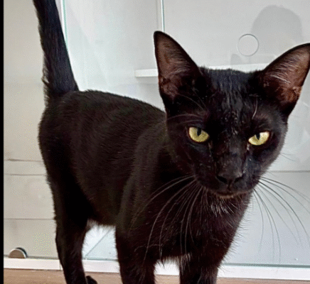 Screenshot 2025-10-26 201528