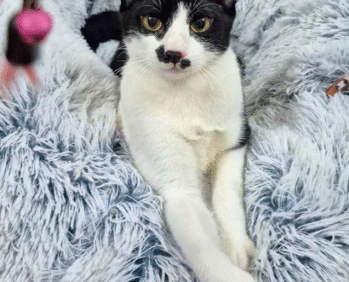 Screenshot 2025-10-26 202300