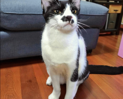 Screenshot 2025-10-26 202355