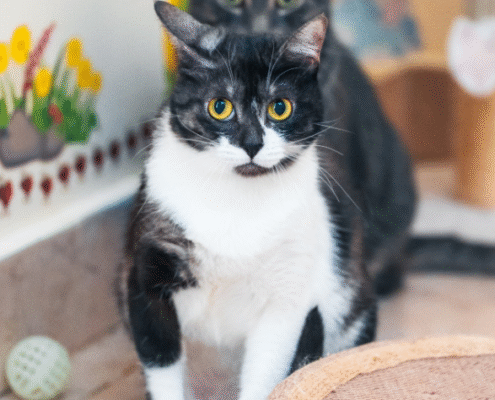 Screenshot 2025-10-26 203155