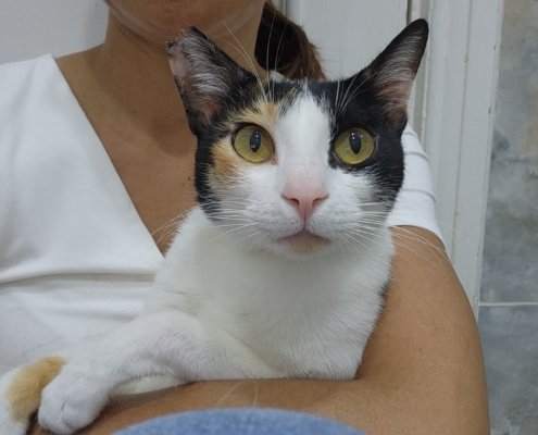 WhatsApp Image 2025-06-05 at 10.01.46 PM (2)