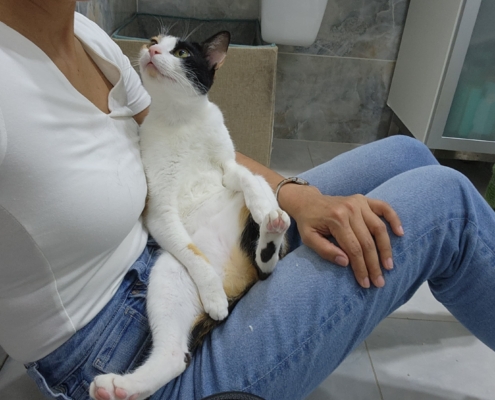 WhatsApp Image 2025-06-05 at 10.01.50 PM