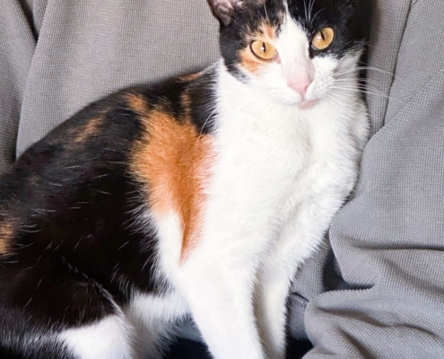 WhatsApp Image 2025-10-13 at 1.56.23 PM