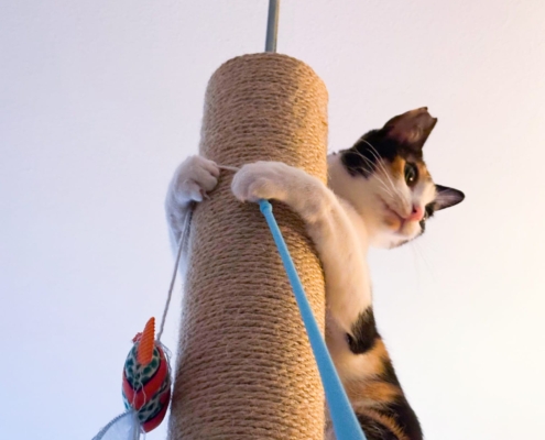 WhatsApp Image 2025-10-13 at 1.56.24 PM (2)