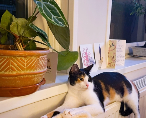 WhatsApp Image 2025-10-13 at 1.56.24 PM (5)