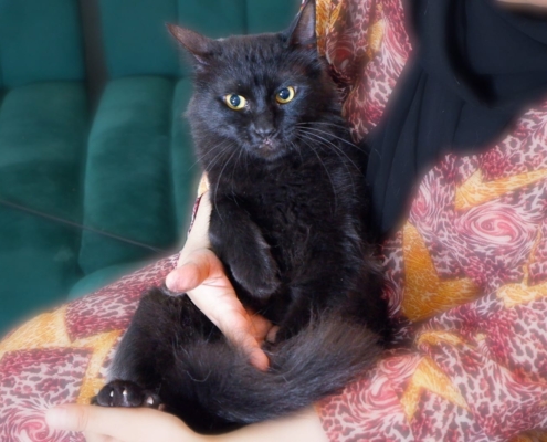 WhatsApp Image 2025-11-07 at 01.52.22_6f265077