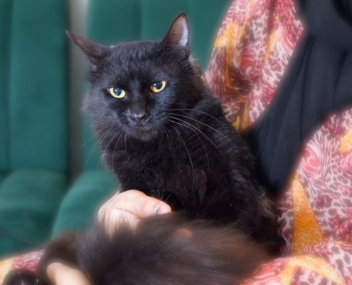 WhatsApp Image 2025-11-07 at 01.52.22_bb26fd52