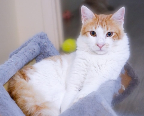 WhatsApp Image 2025-11-07 at 21.19.33_03617526