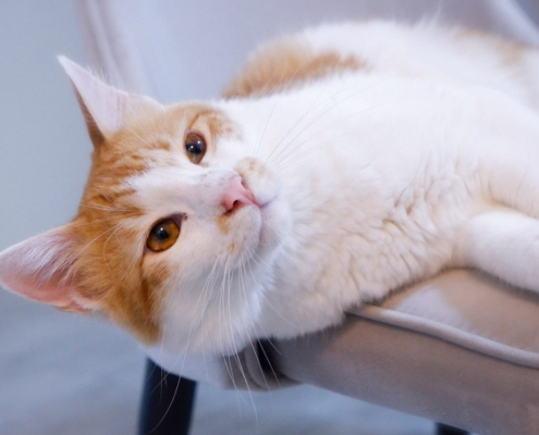 WhatsApp Image 2025-11-07 at 21.19.33_b8990cf3