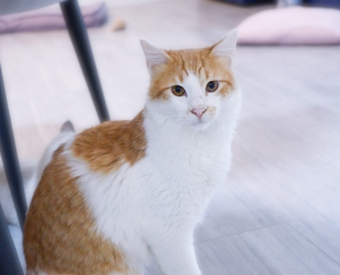 WhatsApp Image 2025-11-07 at 21.19.34_0b44482d