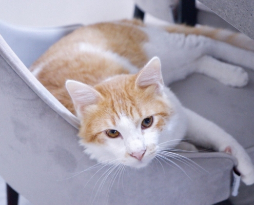 WhatsApp Image 2025-11-07 at 21.19.34_5e951129