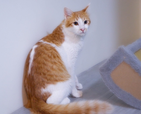 WhatsApp Image 2025-11-07 at 21.19.34_6e377f1d