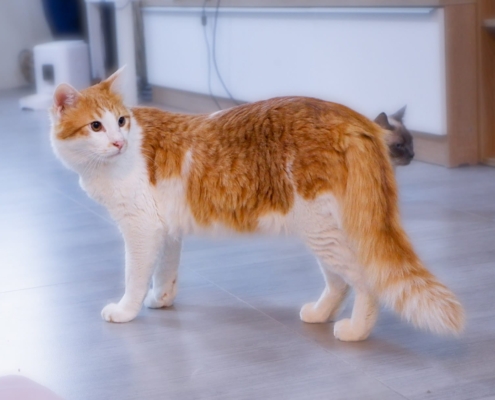 WhatsApp Image 2025-11-07 at 21.19.34_a575ce2c