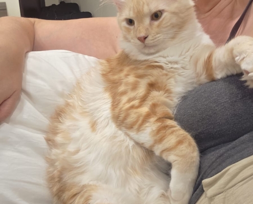 WhatsApp Image 2025-11-07 at 23.57.27_29ec804d