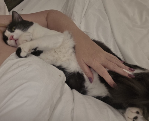 WhatsApp Image 2025-11-07 at 23.57.28_cbbcdecf