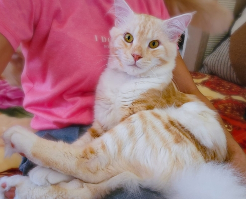 WhatsApp Image 2025-11-10 at 17.49.03_0a55855e