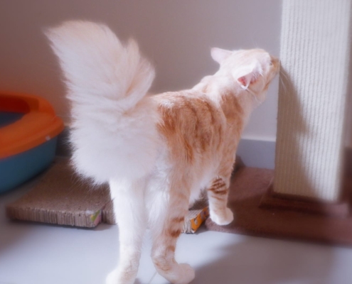 WhatsApp Image 2025-11-10 at 17.49.05_c136a2f8