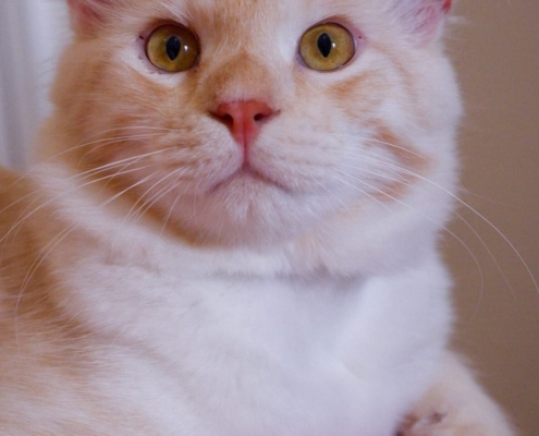 WhatsApp Image 2025-11-10 at 17.49.07_d6425e3a