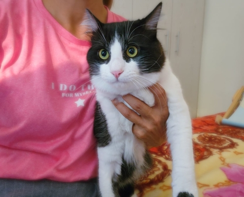 WhatsApp Image 2025-11-10 at 18.19.42_b2ceceaa