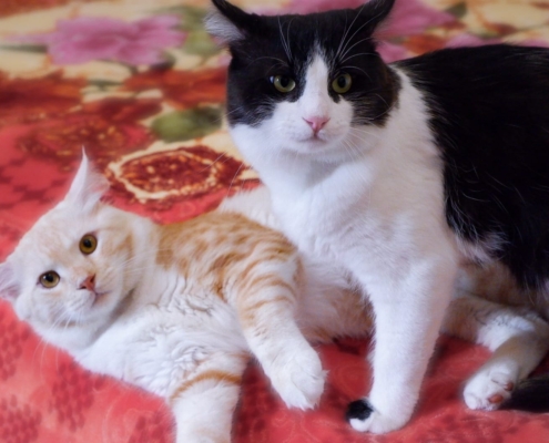 WhatsApp Image 2025-11-10 at 18.19.42_f22ac31d