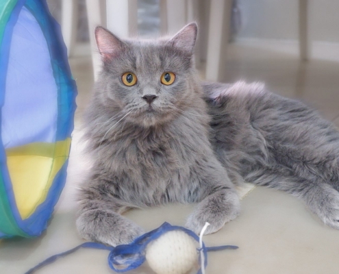 WhatsApp Image 2025-11-20 at 17.32.46_31455b69