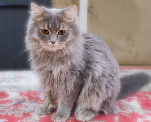 WhatsApp Image 2025-11-20 at 17.32.46_c04ce827