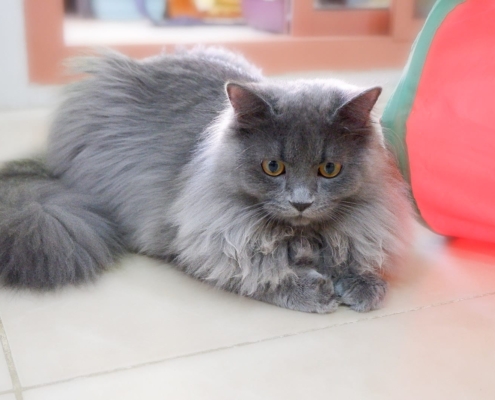 WhatsApp Image 2025-11-20 at 17.32.47_affaa36d