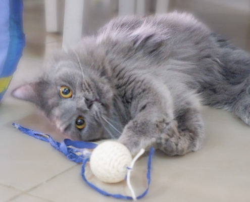 WhatsApp Image 2025-11-20 at 17.32.47_d3bb5505