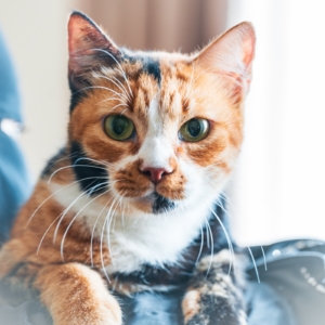 WhatsApp Image 2025-01-20 at 5.10.51 PM (8)