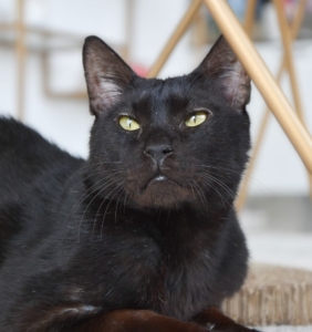 WhatsApp Image 2025-12-11 at 22.38.40_fee401e8 - Copy