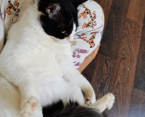 WhatsApp Image 2026-01-11 at 6.05.01 PM (1)