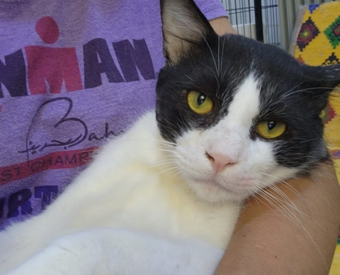 WhatsApp Image 2026-01-11 at 6.05.02 PM (1)