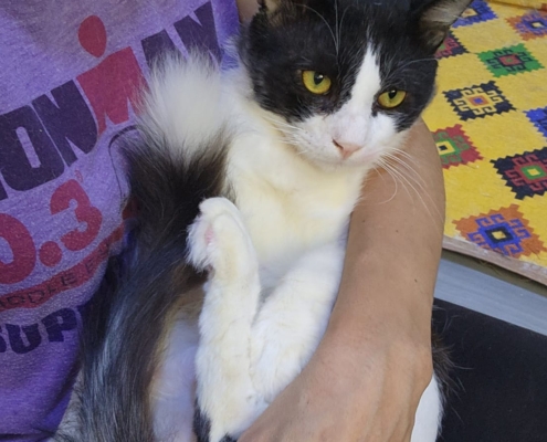 WhatsApp Image 2026-01-11 at 6.05.02 PM (3)