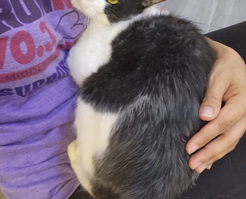 WhatsApp Image 2026-01-11 at 6.05.03 PM (1)