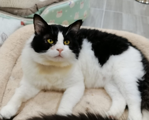 WhatsApp Image 2026-01-11 at 6.16.19 PM