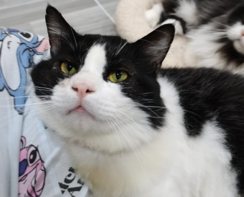 WhatsApp Image 2026-01-11 at 6.16.20 PM