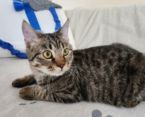 WhatsApp Image 2026-01-15 at 1.51.44 AM