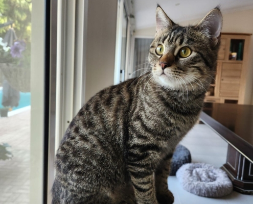 WhatsApp Image 2026-01-15 at 1.51.49 AM (2) - Copy