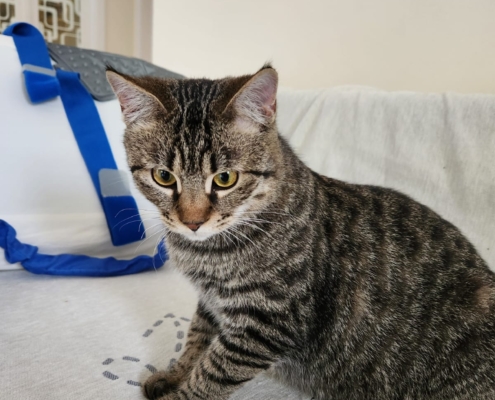 WhatsApp Image 2026-01-15 at 1.51.49 AM