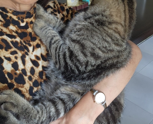 WhatsApp Image 2026-01-15 at 1.51.50 AM (2)