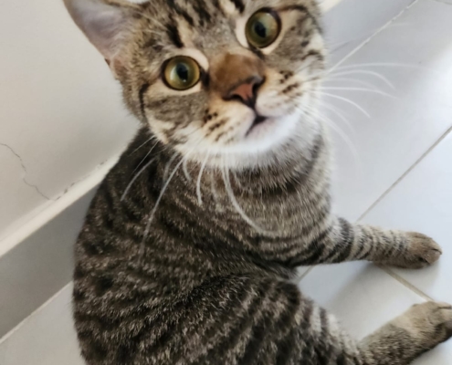 WhatsApp Image 2026-01-15 at 1.51.51 AM (2)