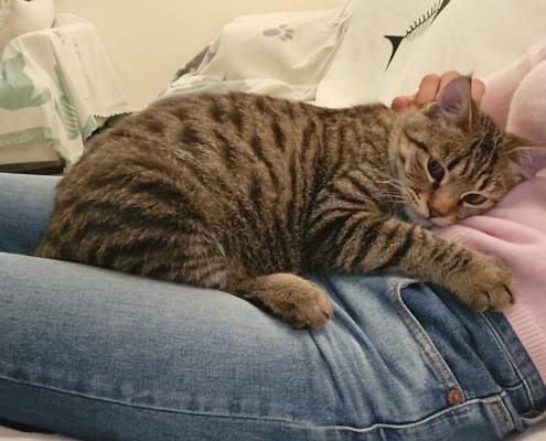 WhatsApp Image 2026-01-15 at 1.51.52 AM